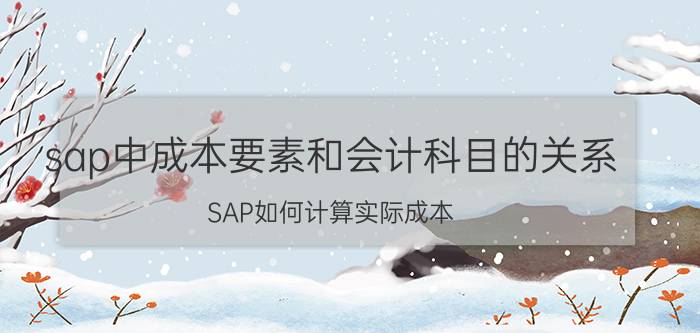 sap中成本要素和会计科目的关系 SAP如何计算实际成本？